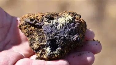 BM Güvenlik Konseyi: Mineraller Çatışmaları Körüklememeli