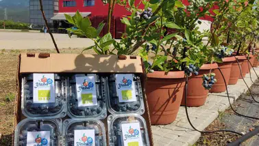 DCT Trading’den tarımda teknolojik dönüşüm: 1,5 milyon Euro'luk stratejik yatırım!