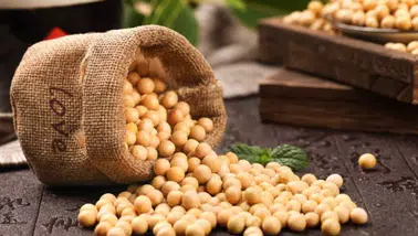 Soya fasulyesi fiyatları 26 ayın zirvesine ulaştı