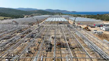 İzmir Dikili'de jeotermal kaynaklı sera organize tarım bölgesi kurulacak