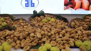 Aydın'da sezonun ilk kuru inciri 850 liradan alıcı buldu