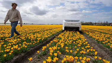 SASAM heyeti, Hollanda'da yapay zeka ve akıllı tarım alanında eğitim aldı