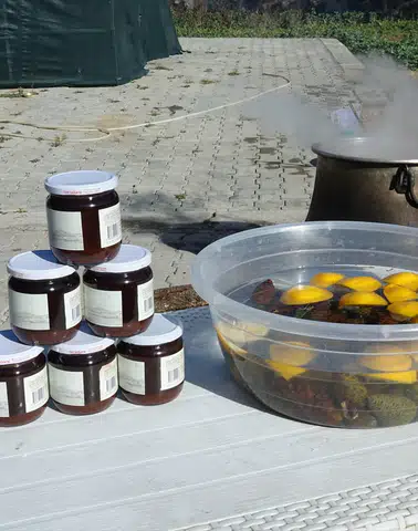 Ayvalık'ta Kadın Emeği ile Üretilen Kozalak Şurubu