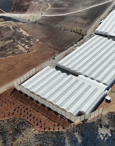 Adıyaman'da Süs Bitkisi Üretimi İstihdam Sağlıyor