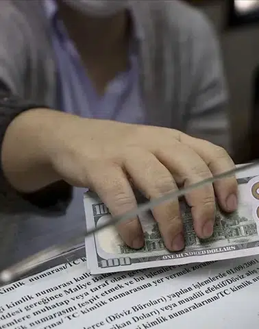 Bakanlık yetkisiz döviz alım satımına karşı sıkı denetim başlattı!