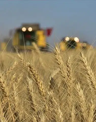 Tarımda Çarpıcı Tablo: Sebze ve Meyvede Fazla, Soya ve Mısırda Alarm!