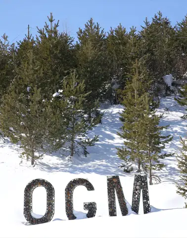 Erciyes’te Dev Ağaçlandırma: 7 Milyon Fidan Toprakla Buluştu!