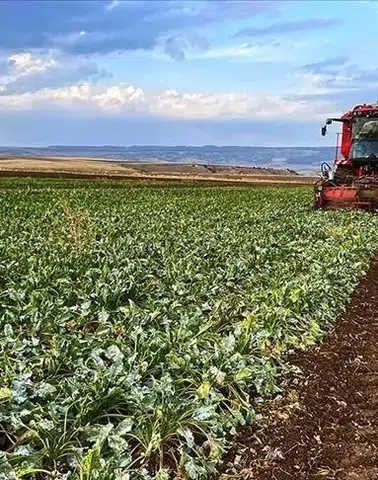Çiftçiye 8,7 Milyar Liralık Destek: Ödemeler Bugün Başlıyor!