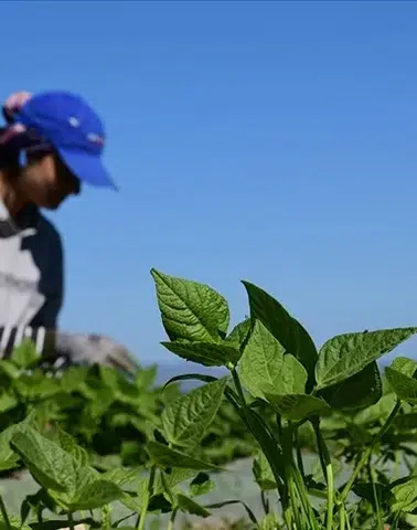 Gıda ve çevre konulu uluslararası projelere destek sağlanacak!