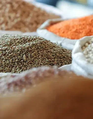 Türkiye’nin gıda ihracatında Orta Doğu liderliğini koruyor