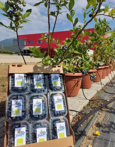 DCT Trading’den tarımda teknolojik dönüşüm: 1,5 milyon Euro'luk stratejik yatırım!