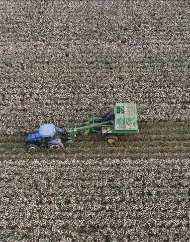 Orta Doğu gerilimi küresel tarım ve gübre piyasalarını sarstı: Maliyetler hızla yükseliyor!