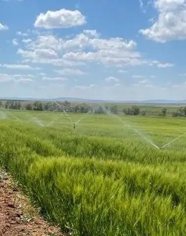 Bakan Yumaklı müjdeyi verdi: Tarımsal sulamada yüzde 70 hibe dönemi başladı!