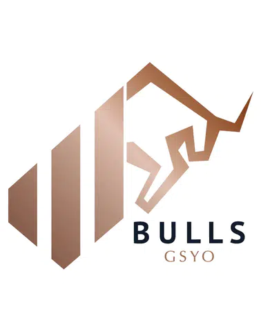 Bulls GSYO Bin Ulaşım Teknolojileri’ndeki Payını Büyüttü!