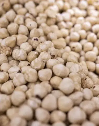 Dünyanın fındık ambarı Karadeniz: 69 ülke Türk fındığı için sıraya girdi!