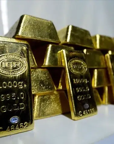 Altında Sert Fren: Kilogram Fiyatında Bir Günde Büyük Kayıp!