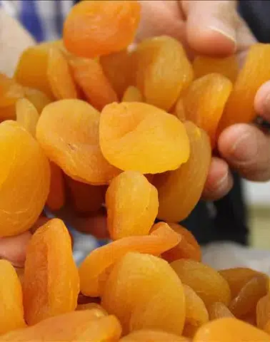 “Kayısı krizi fırsata dönüştü: Malatya’dan rekor ilk çeyrek geliri