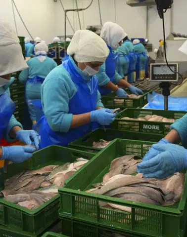 133 ülke Türk su ürünlerini seçti! Kazanç 2,2 milyar doları aştı