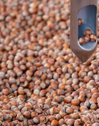 Borsada fındık mesaisi: 9 aylık dönemde dev satış hacmi