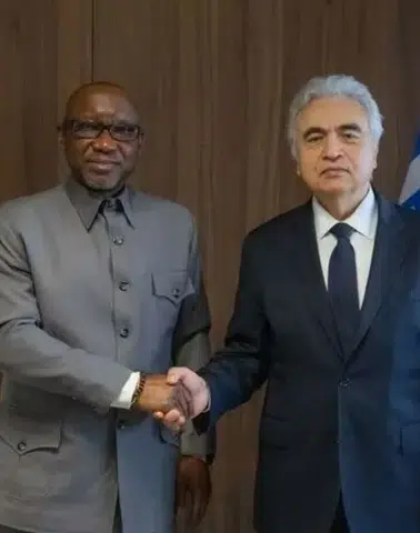 Enerji piyasalarında dev adım: Afrika’nın devi Uluslararası Enerji Ajansı'na katıldı