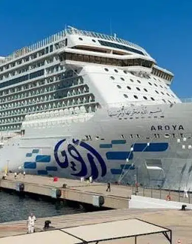 Bodrum'un turizm sezonu açıldı: Mein Schiff 5 kruvaziyeri 2 bin 756 yolcu getirdi