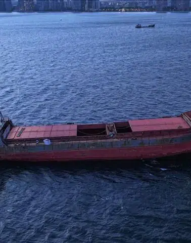 Cezayir'den yola çıkan sıvı gaz gemisi Türkiye'ye ulaştı