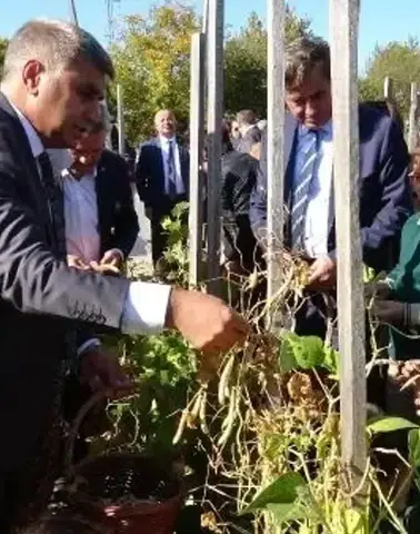 Karabük'te ata tohumu ile organik tarım devrimi: Tarladan sofraya doğrudan ulaşım