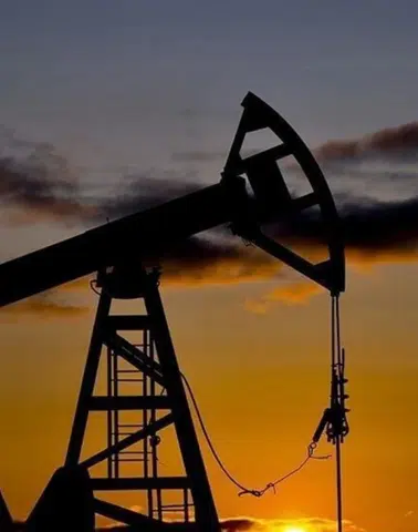 Erzincan'da petrol arama ruhsatı: Wali Petrol Limited Şirketi'ne yeni fırsatlar