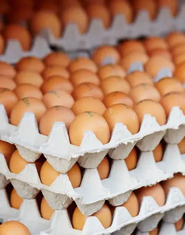 Yumurta fiyatlarında denge sağlandı: Üreticiler umutlu