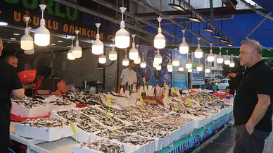 Rize’de Balıkçı Tezgahlarında Bolluk: Fiyatlar Uygun, Yüzler Gülüyor