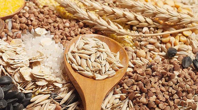 Güneydoğu'dan 11 ayda 3,2 milyar dolarlık hububat ihracatı yapıldı