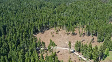 11 ilde bazı alanlar orman sınırları dışına çıkarıldı