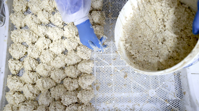 Osmanlı dönemi usulüyle yapılan tescilli Malatya tarhanası ihracata hazırlanıyor