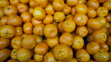 Türkiye'nin mandalina ihracatı rekora ulaştı