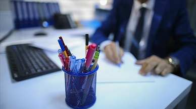 Vergi Denetleme Kurulu 250 müfettiş yardımcısı alacak