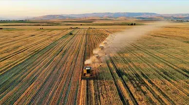 Tarım sektöründen 2025'te tüm zamanların en yüksek yıllık ihracatı