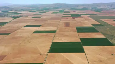Çorum ve Malatya'nın bazı bölgelerinde arazi toplulaştırması yapılacak