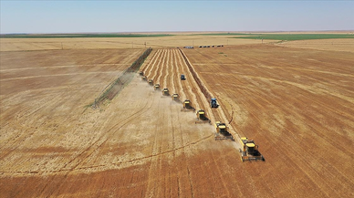 Tarım sektöründen 2025'te tüm zamanların en yüksek yıllık ihracatı