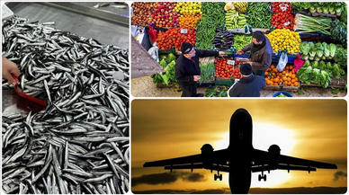 Aralık 2025'te fiyatı en fazla artan ürün 'taze balık', en çok düşen 'hava yoluyla yolcu taşımacılığı' oldu