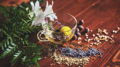 Bitki koruma ürünü başvurularındaki ticari adlara ilişkin düzenleme