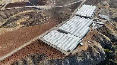 Adıyaman'da Süs Bitkisi Üretimi İstihdam Sağlıyor