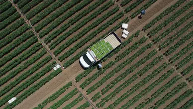 Tarımsal girdi maliyetlerinde şubat ayı tablosu netleşti: Yıllık artış yüzde 31,55!