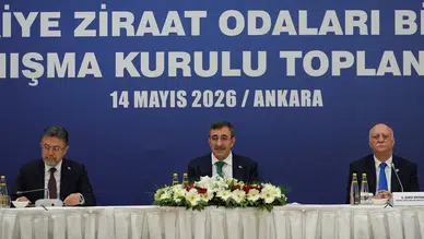Cumhurbaşkanı Yardımcısı Yılmaz: Bu sene genel büyümemize tarımın katkısı pozitif olacak!