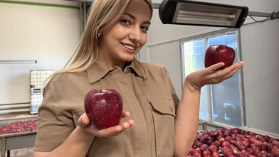 Yeni Nesil Çiftçiler: Elma Üretiminde Devrim