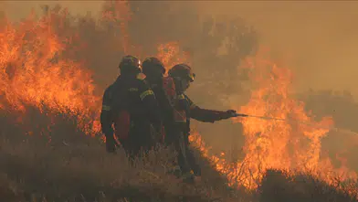 Dünyada sıcaklık rekorları kırılırken ABD ve Avrupa'da orman yangınları etkili oluyor