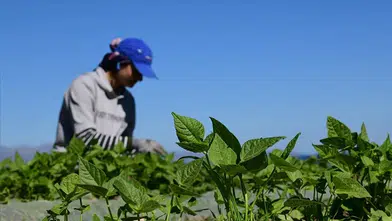 Gıda ve çevre konulu uluslararası projelere destek sağlanacak!