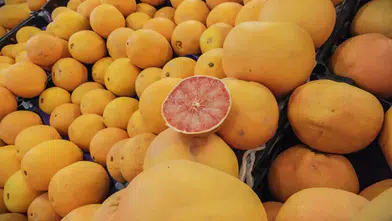 Dünya bu lezzetin peşinde: Turunçgil ihracatında tarihi zirve görüldü!