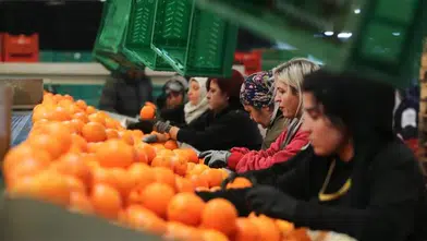 Kadınların ihracattaki gücü artıyor: Pay yüzde 23,5’e çıktı!