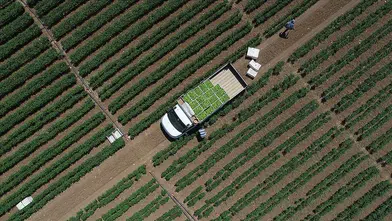 Tarımsal girdi maliyetlerinde şubat ayı tablosu netleşti: Yıllık artış yüzde 31,55!