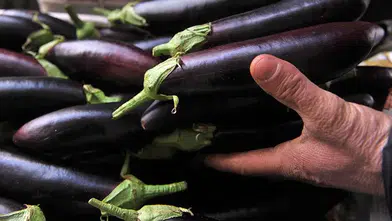 Mutfağın Zam Şampiyonu Belli Oldu: Patlıcan El Yakıyor Salatalık Sevindiriyor!